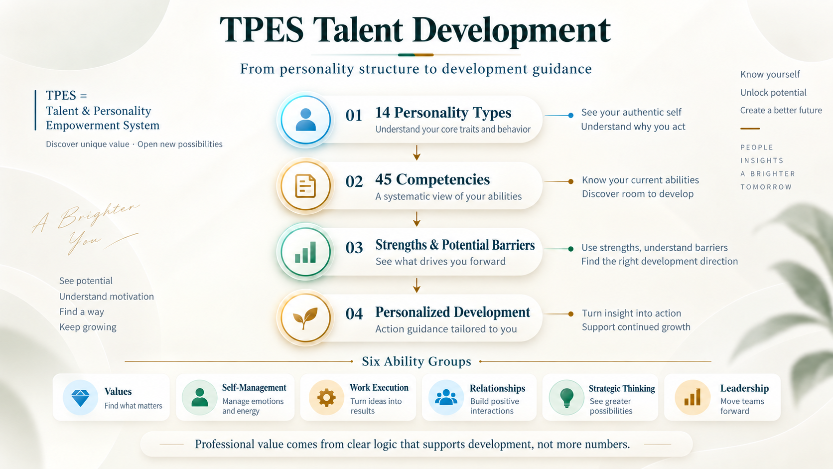 TPES talent development framework: a 14-type personality structure, 45 competencies, strength-based drivers and potential barriers, and individualized development suggestions. Competencies are grouped into six categories.