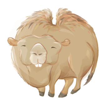 Camel